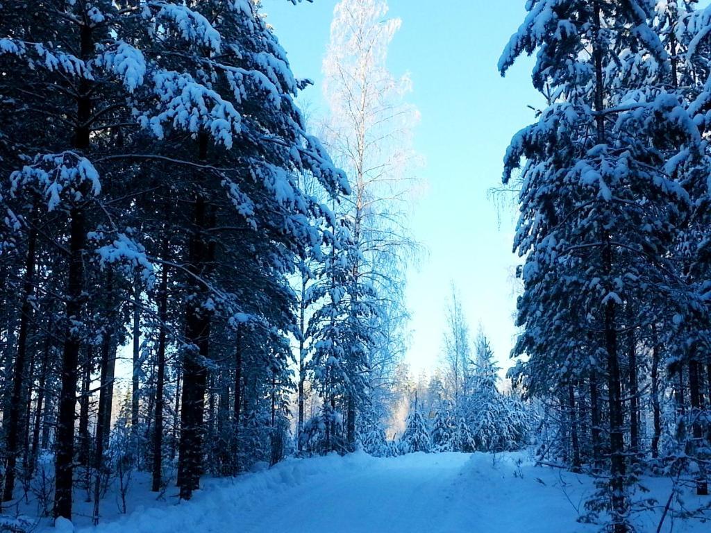Kettu Holl Cottage Taipalsaari Luaran gambar