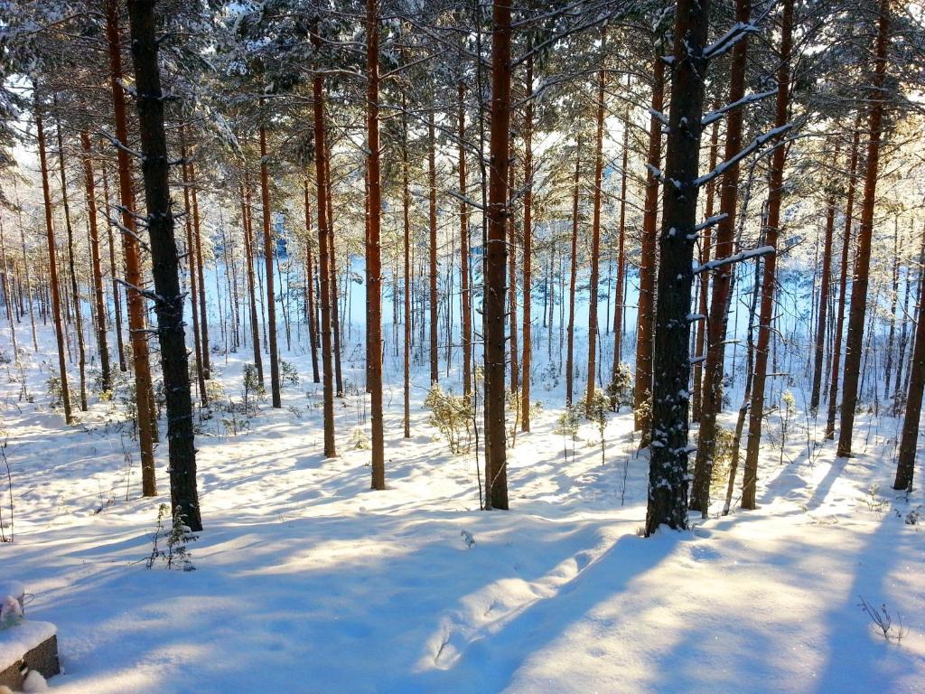 Kettu Holl Cottage Taipalsaari Luaran gambar