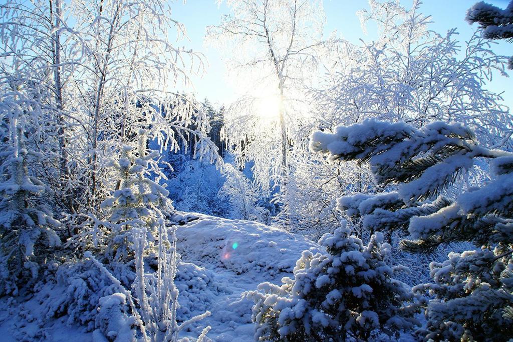 Kettu Holl Cottage Taipalsaari Luaran gambar
